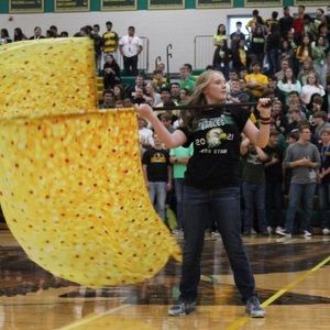 Meet your Posher, Ella